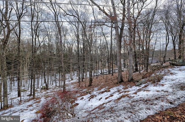 LOT679 Raccoon Ct, Bushkill PA, 18324 land for sale