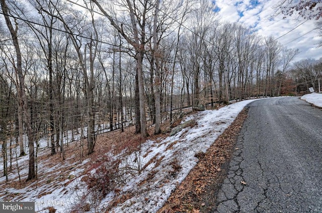 LOT679 Raccoon Ct, Bushkill, PA 18324