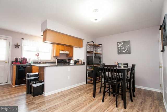 dining room featuring light hardwood / wood-style flooring and sink