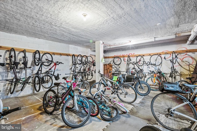 1830 Columbia Pike Unit 410, Arlington, VA 22204 - garage featuring concrete block wall and bike storage