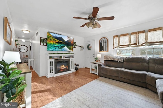 living room with wood-type flooring and ceiling fan