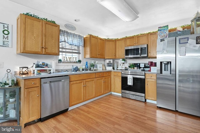 kitchen featuring light hardwood / wood-style floors, sink, and appliances with stainless steel finishes