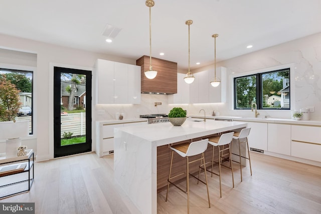 kitchen featuring white cabinets, plenty of natural light, light wood-type flooring, and an island with sink