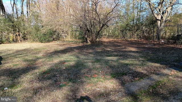7105 Wainwright Ave, Parsonsburg, MD 21849 - view of grassy yard featuring a view of trees