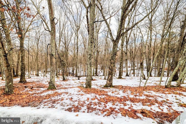 LOT501 Warbler Ct, Bushkill, PA 18324