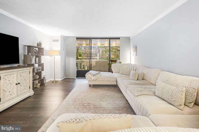 living room with a textured ceiling, crown molding, and dark wood-type flooring