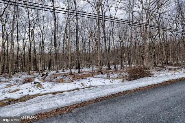 LOTS14 Pocono Mountain Lake Dr, Bushkill PA, 18324 land for sale