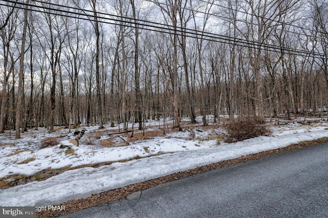 LOTS14 Pocono Mountain Lake Dr, Bushkill, PA 18324
