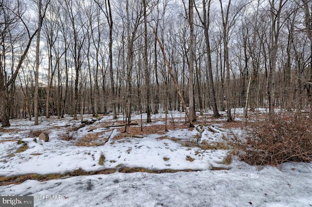 LOTS14 Pocono Mountain Lake Dr, Bushkill, PA 18324