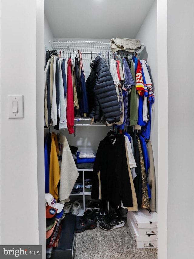 walk in closet featuring carpet flooring