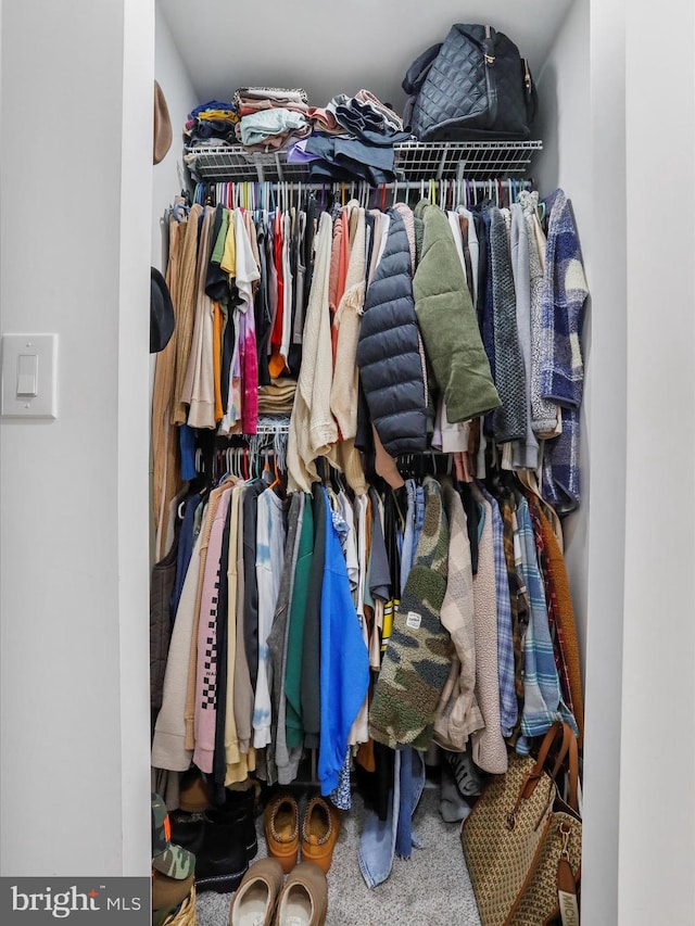 walk in closet with carpet flooring