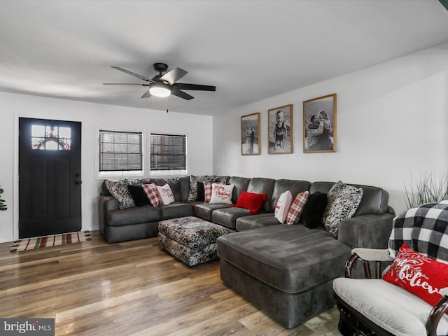 living room with ceiling fan and wood-type flooring