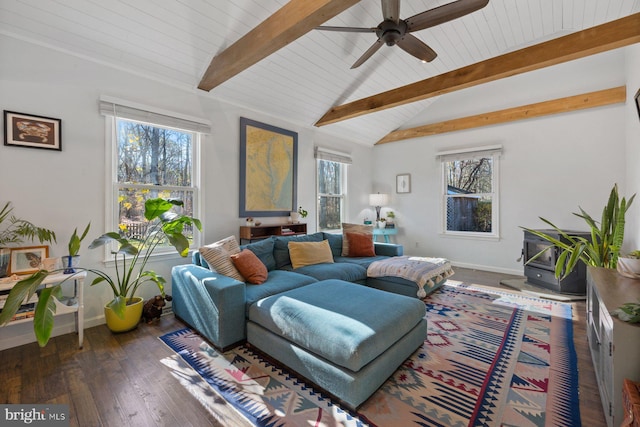 living room featuring a wood stove, plenty of natural light, lofted ceiling with beams, and dark hardwood / wood-style floors