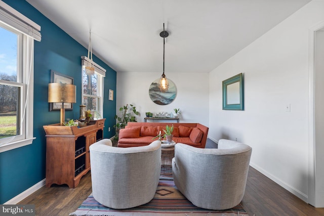 living room with dark hardwood / wood-style floors