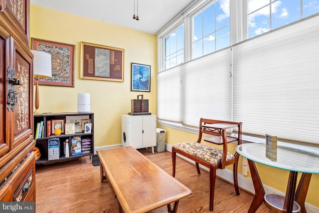 sitting room featuring light hardwood / wood-style flooring