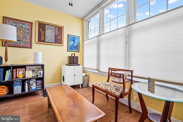 sitting room featuring hardwood / wood-style flooring and plenty of natural light