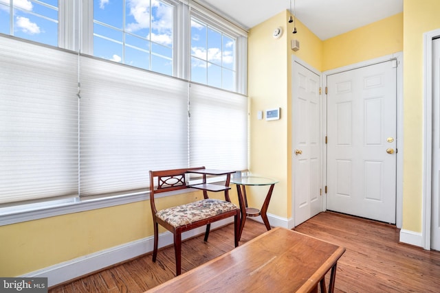 foyer entrance featuring hardwood / wood-style flooring