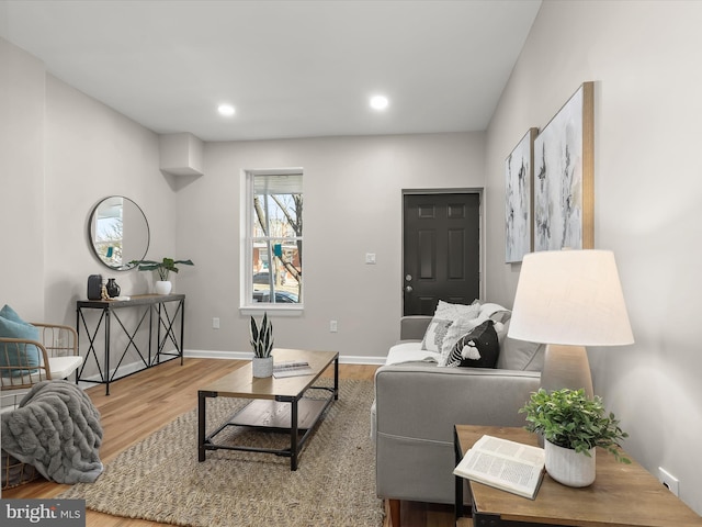 living room featuring hardwood / wood-style floors