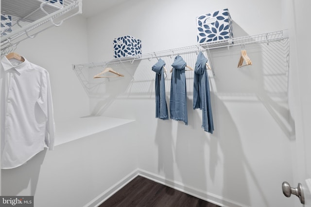 spacious closet with dark wood-style floors