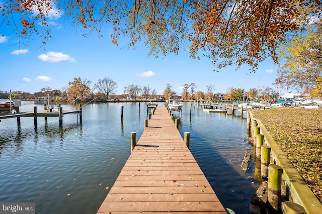 dock area with a water view