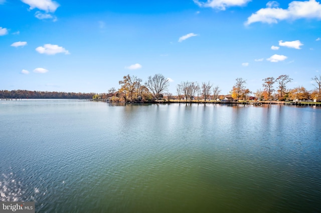 property view of water