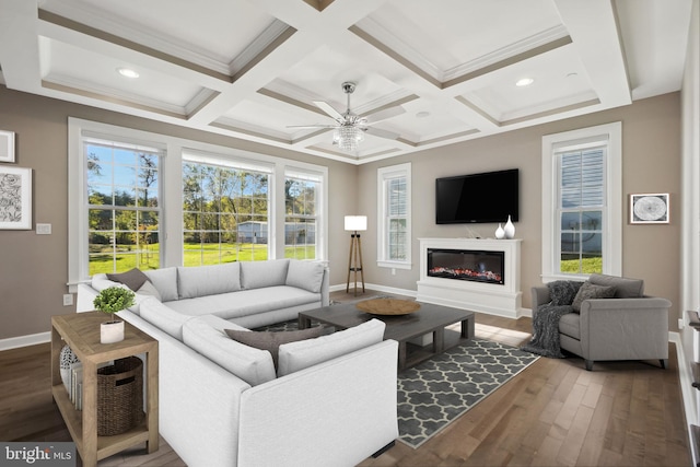 living room featuring ornamental molding, coffered ceiling, ceiling fan, beamed ceiling, and dark hardwood / wood-style floors