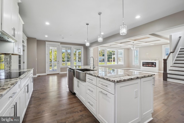 kitchen with black electric stovetop, sink, white cabinets, dark hardwood / wood-style floors, and an island with sink