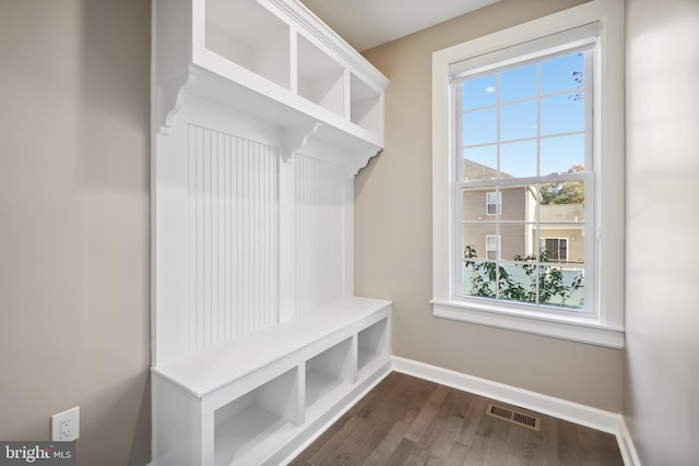 mudroom featuring dark wood-type flooring