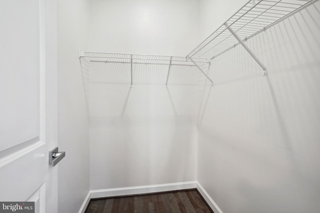 spacious closet with hardwood / wood-style flooring