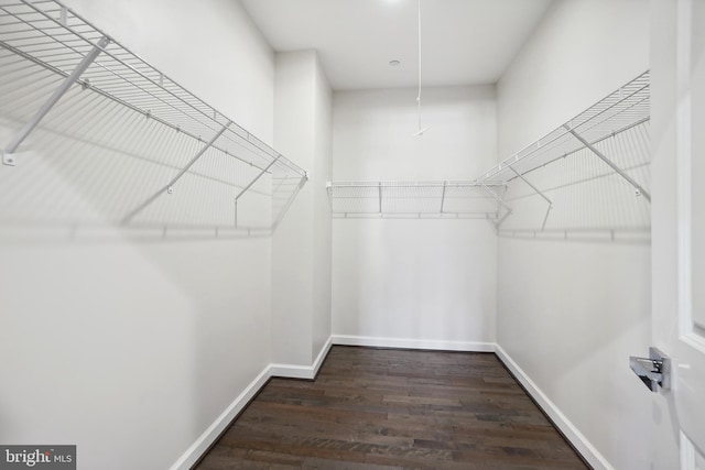 walk in closet with dark hardwood / wood-style flooring