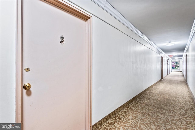 hall featuring light colored carpet and ornamental molding