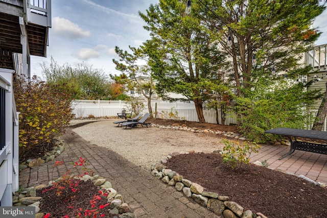 view of yard featuring a patio