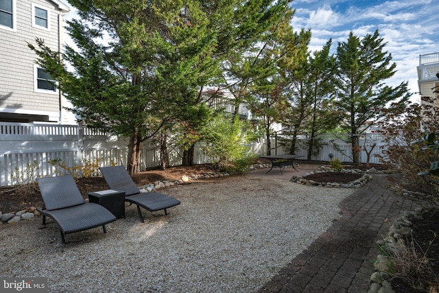 view of yard featuring a patio area