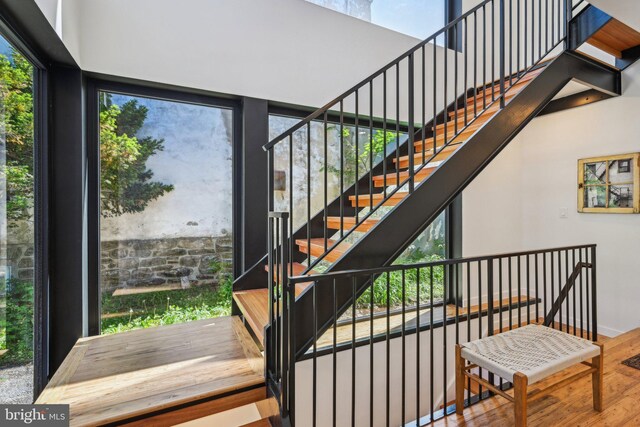 staircase featuring wood finished floors