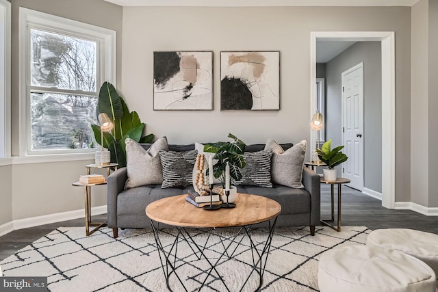 living room featuring hardwood / wood-style floors