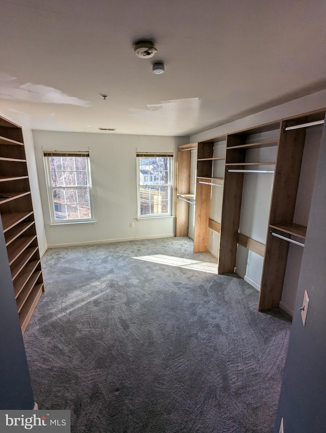 unfurnished bedroom with carpet flooring and multiple windows