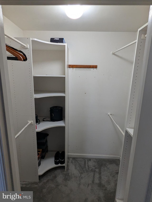 walk in closet with dark colored carpet