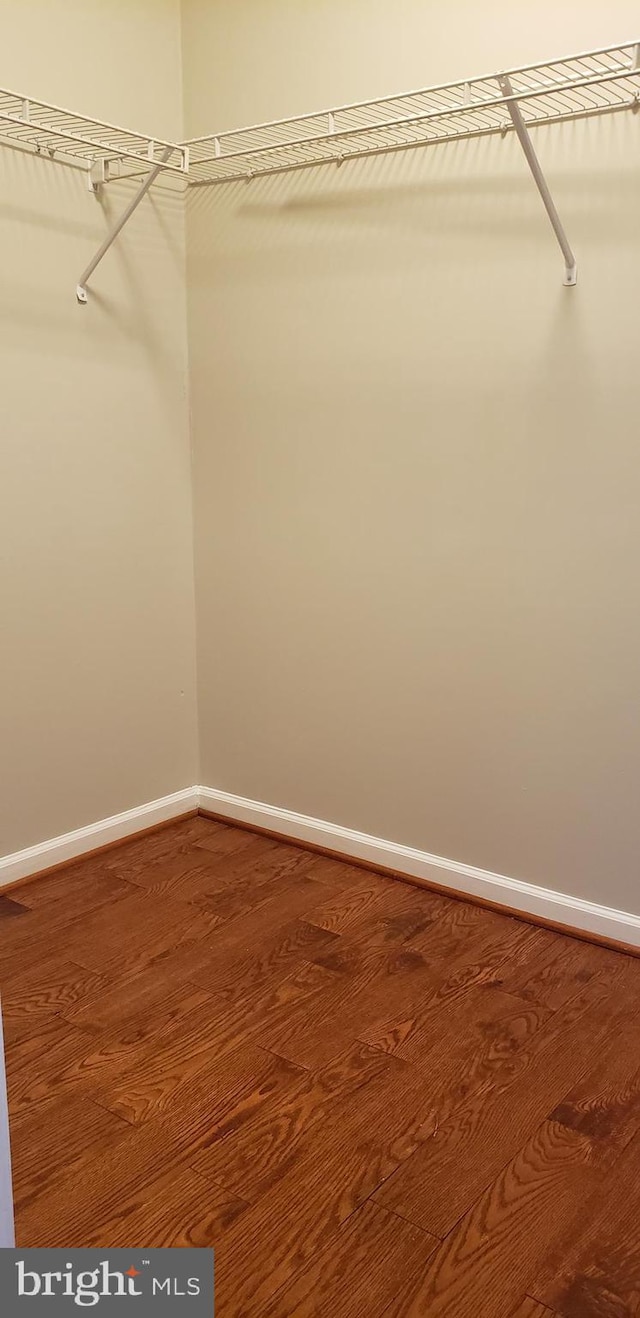 spacious closet featuring hardwood / wood-style flooring