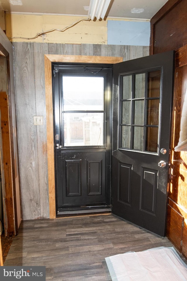 doorway with dark wood-type flooring and wood walls