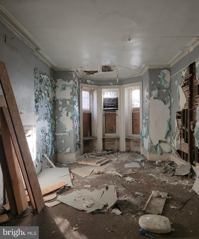 miscellaneous room featuring crown molding