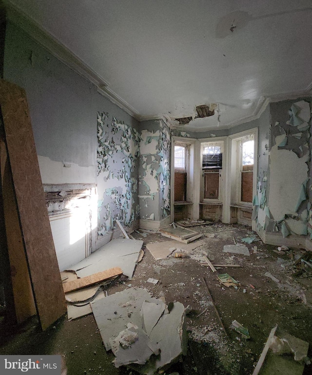 miscellaneous room featuring ornamental molding