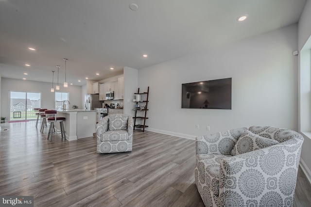 living room featuring light hardwood / wood-style flooring