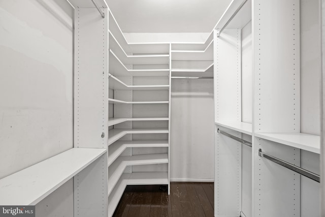 spacious closet featuring dark hardwood / wood-style flooring