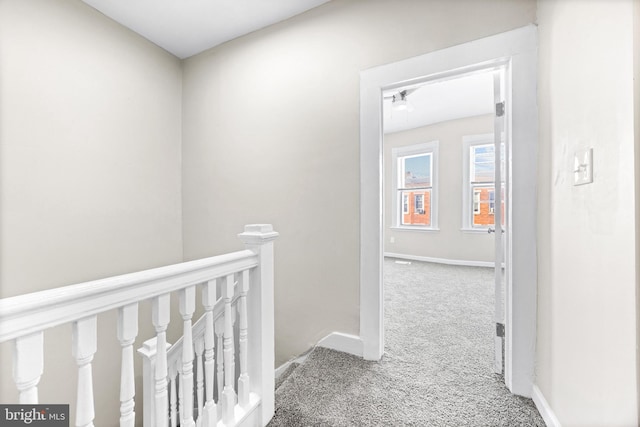 hallway featuring carpet flooring