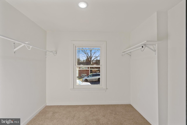 spacious closet featuring light colored carpet