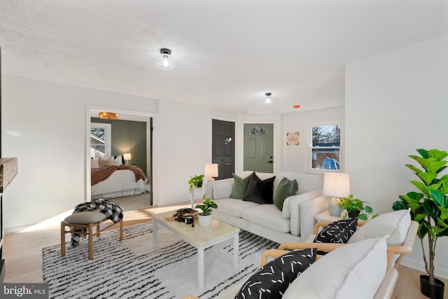 living room with light hardwood / wood-style floors