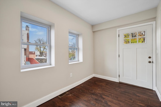 entryway featuring dark hardwood / wood-style flooring and plenty of natural light