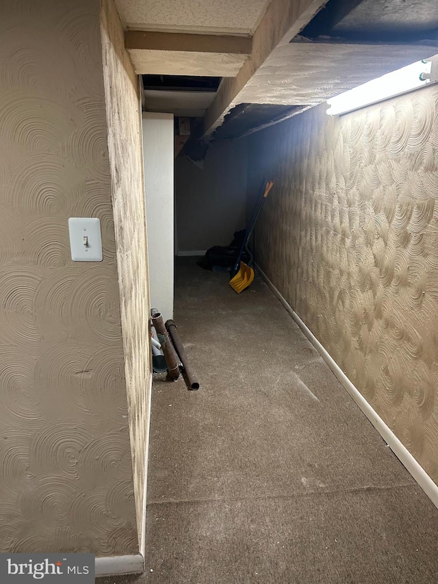 basement featuring carpet flooring