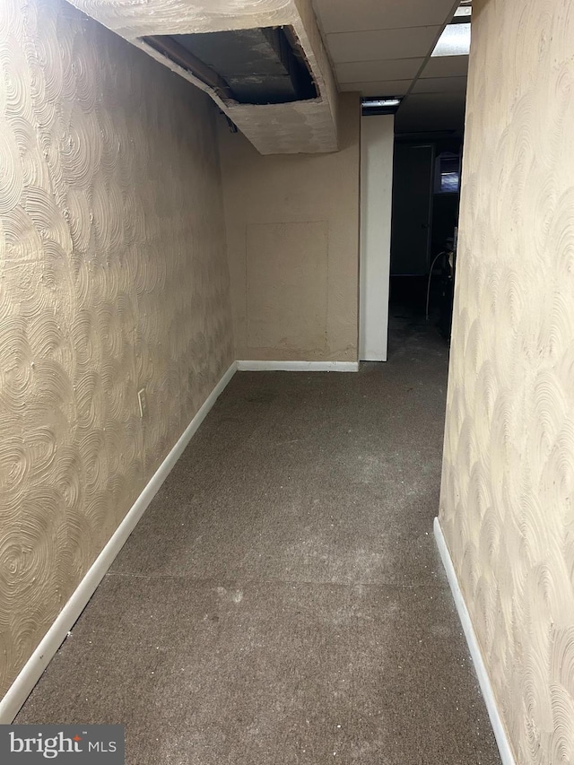 basement featuring carpet floors and a drop ceiling