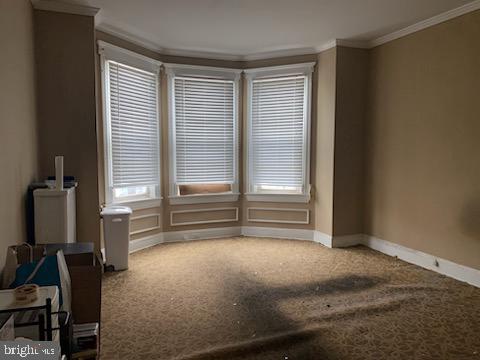 spare room featuring carpet and crown molding